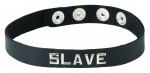 Sm Collar-slave