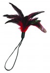 Pleasure Feathers-red(ea)