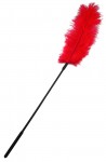 Ostrich Feather Red