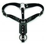 Anal Plug Harness W/cock Ring